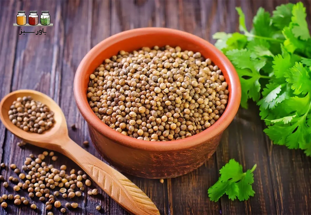 تخم گشنیز