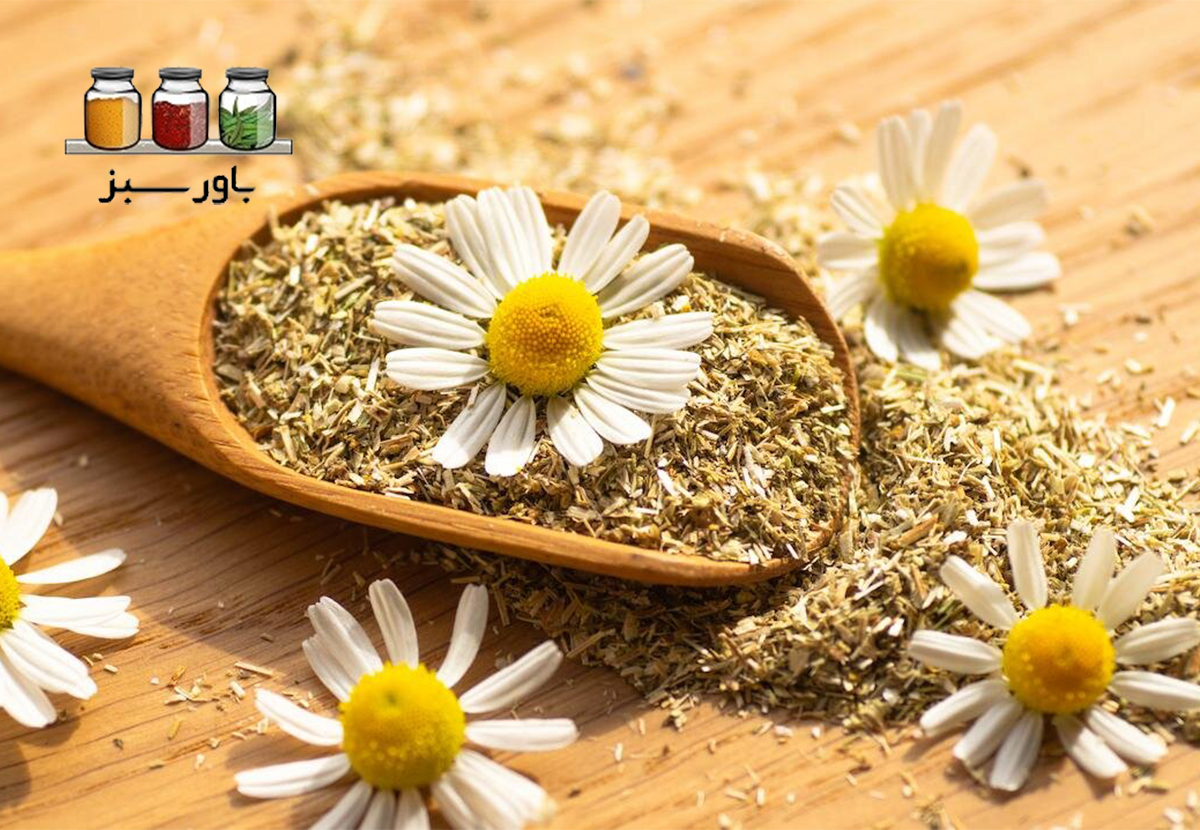 دمنوش بابونه