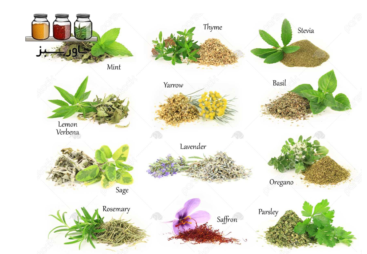 گیاهان معطر