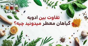 تفاوت بین ادویه و گیاهان معطر چیه؟
