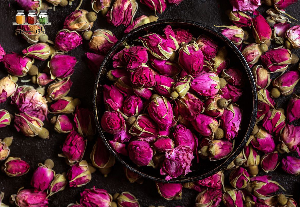 گل محمدی