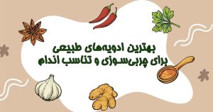 بهترین ادویه‌های طبیعی برای چربی‌سوزی و تناسب اندام