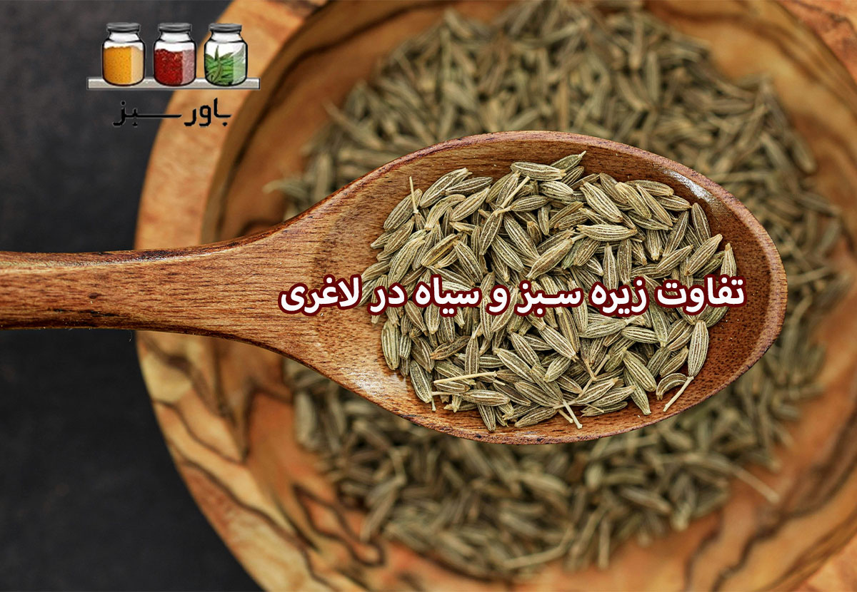زیره سبز