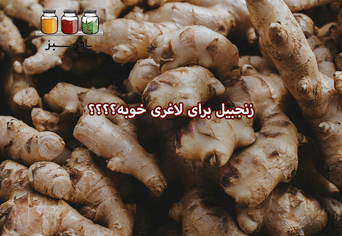 خواص زنجبیل برای لاغری